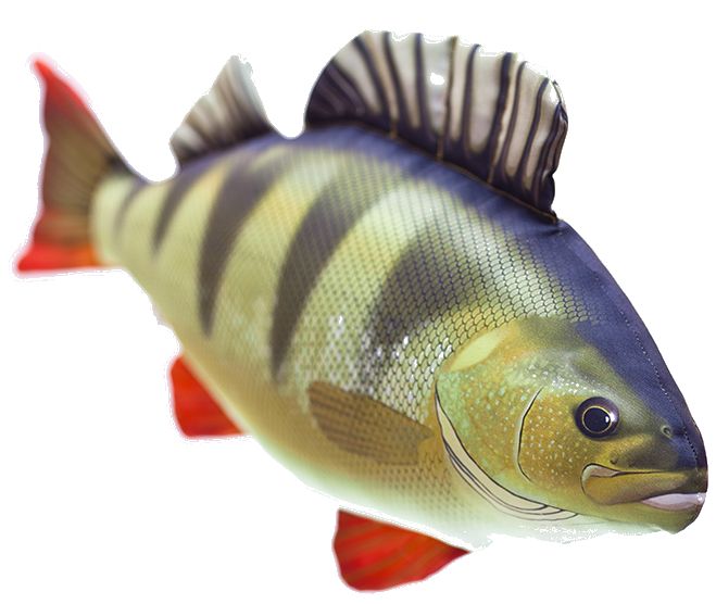 Gaby Ahven Pehmokala - Plüschfisch - 5905279175051 - 1