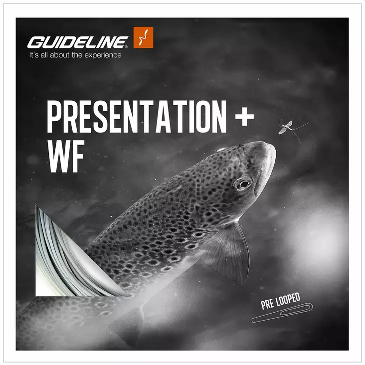 Guideline Presentation+ WF Float - Schwimmend - 7033841071871 - 1