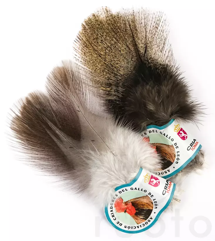 Hareline Coq De Leon - Andere Federn und Plüme - 40450200501 - 1