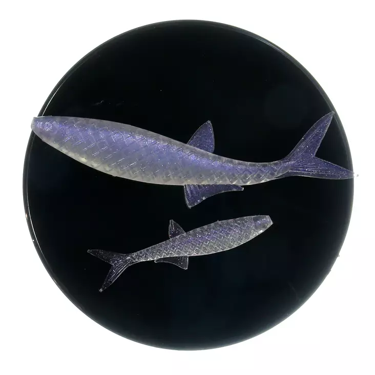 Microbite Alburnus 40mm - Weichköder für das Vertikalangeln - 34003000551 - 1
