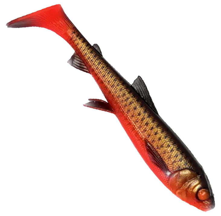 Savage Gear 3D Whitefish shad Special 27cm 154g 1pcs - Weichköder für Hechte über 100g - 2710202311 - 1