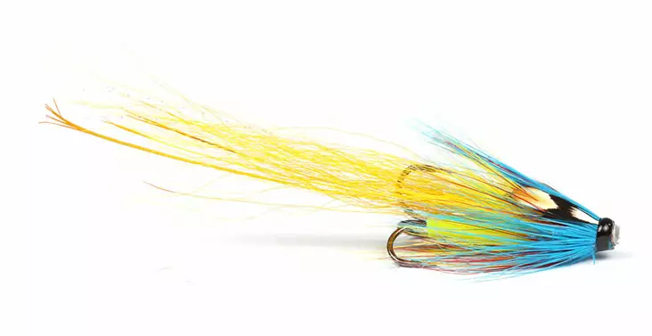 Sunburst Garry Dog Pig - Tube Fliegen - 7033840119581 - 1