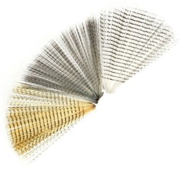 Barred Tail Fibbets - Andere Fliegenbindematerialien - 408500001 - 2