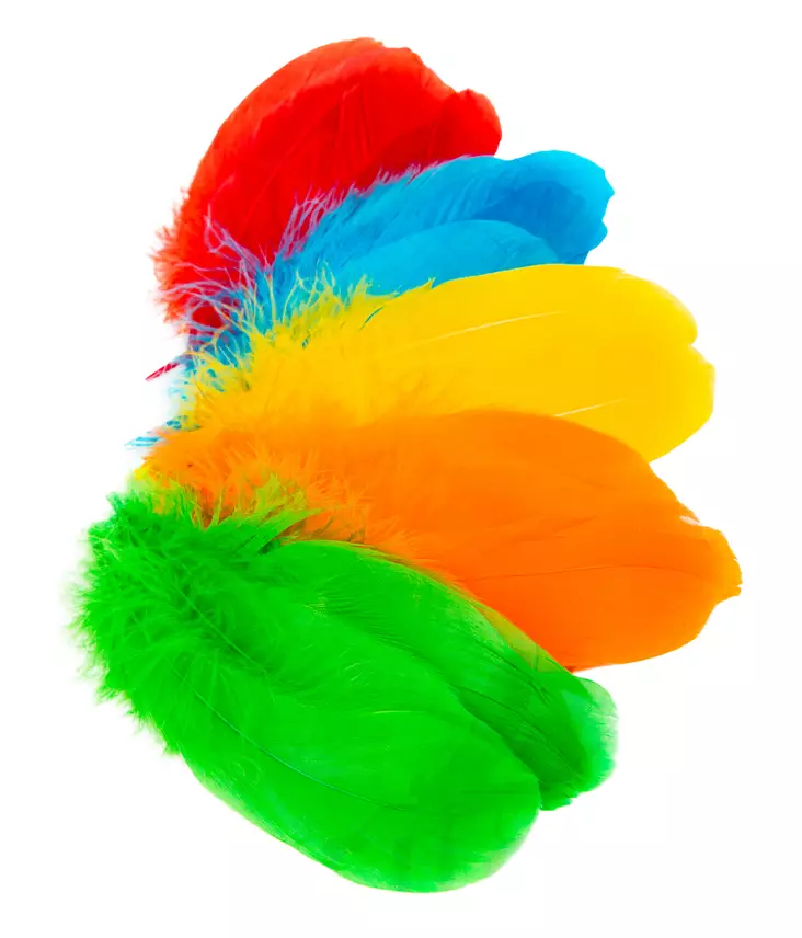 Veniard Goose Shoulder - Klassische Feder - 40450200001 - 1