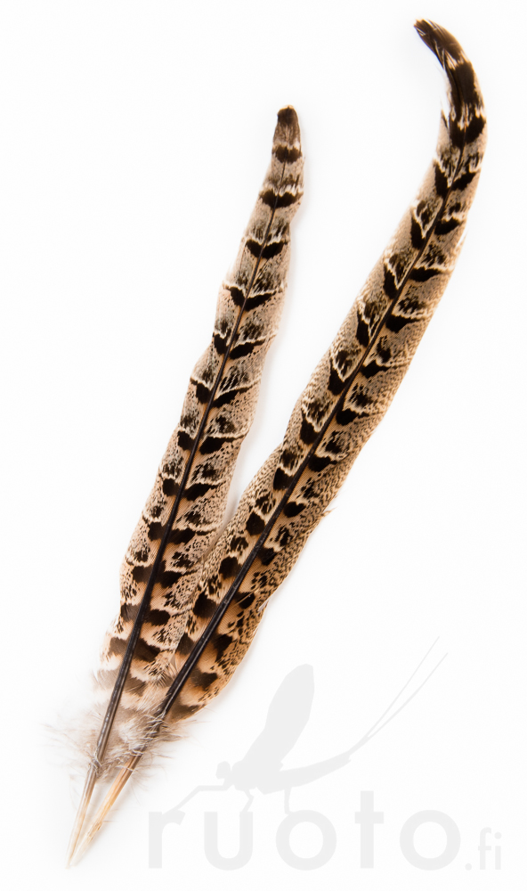 Hen Pheasant Centre Tails - Schwänze - 5056304604616 - 1