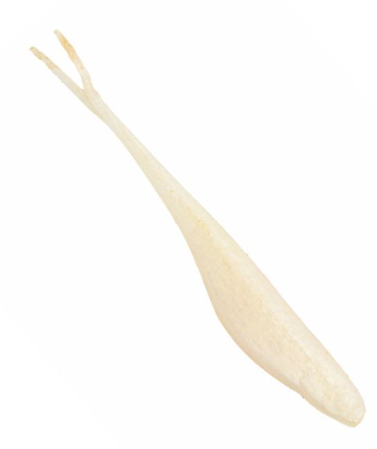 Z-Man Jerkshadz 3,5" - Schwimmende Weichköder - 173401 - 1