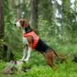 Finnero Ukko Jagdweste Rot/Gelb - Hundewesten und -kleidung - 6438406007592 - 10