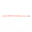 DAM Fighter Pro Tele Pole 3,00m + Float - Klassische Stippruten-Sets - 5706301569882 - 2