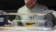 Flymen Fishing Co Fly Tester - Andere Werkzeuge - 7081385297462 - 10