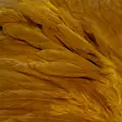 Futurefly Signature Soft Hackle - Hühnerhälse und Sattelfedern - 40350200222 - 4