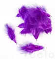 Mini Marabou - Andere Federn und Plüme - 40450300022 - 2