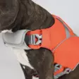 Hundra Dog Life Jacket - Hundewesten und -kleidung - 6438347048432 - 3