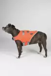 Hundra Dog Life Jacket - Hundewesten und -kleidung - 6438347048432 - 5