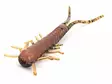 Lunker City Hellgies 7.5cm - Kreatur-Weichköder - 1730030012 - 3