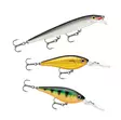 Rapala Essentials Zander Sunny 2.0 - Köder-Sortimente - 022677384092 - 2