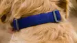 Ruffwear Front Range Collar Red Clay - Hundehalsband - 748960398002 - 6