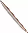 Savage Gear 3D Line Thru Sandeel 19g - Schlankes Profil - 1710010002 - 2