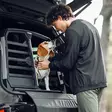 Thule Allax Double M Compact - Andere Hundezubehör - 197074757562 - 6