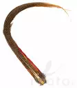 Golden Pheasant Complete Tail - Schwänze - 40450100022 - 3