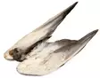 Veniard Mallard Duck Wings - Häute, Flügel und Köpfe - 5056304601943 - 2