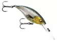 Westin BuzzBite Crankbait 6cm 10g - Wobbler 6-10 cm - 5707549436222 - 10