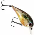 Westin BuzzBite Crankbait 6cm 13g - Wobbler 6-10 cm - 154572 - 11