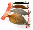 Whiting Dry Fly Cape Bronze Grade - Trockenfliegenhälse und Sattelfedern - 403501000012 - 1