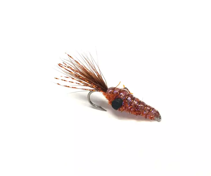 Copper Shrimp - Garnelen - 7033840463752 - 1