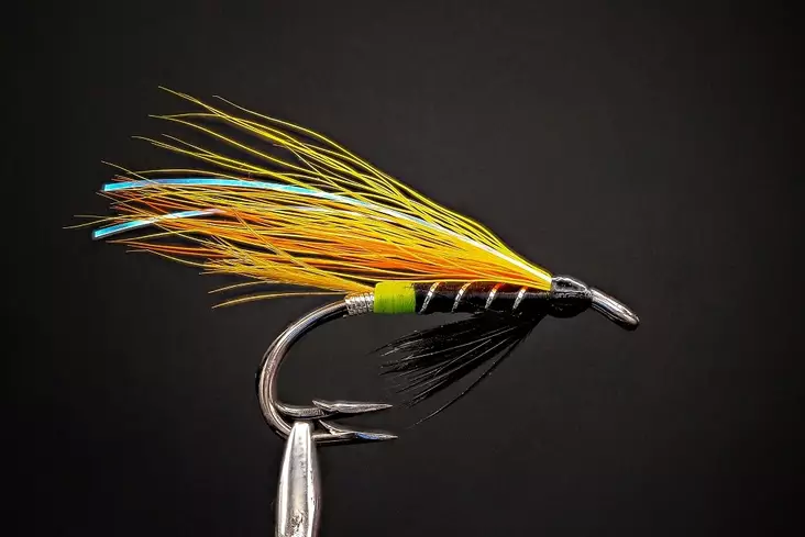 Flashabou Garry Salmon Fly - Doppelhaken-Lachsfliegen - 8859202530172 - 1