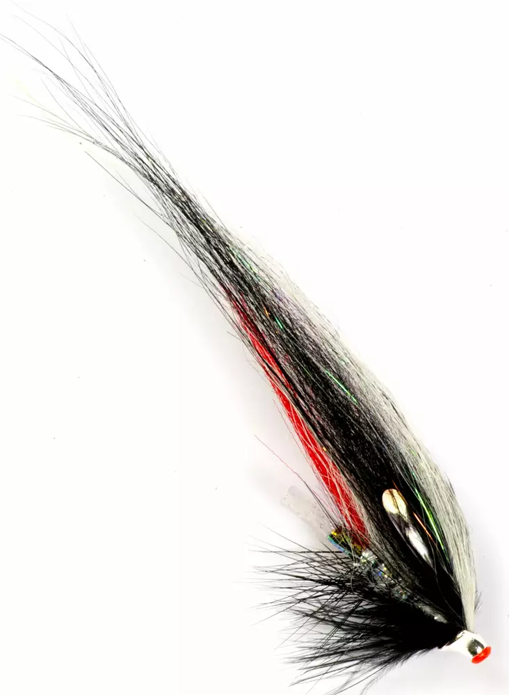 Frödin Flies Classic Series Zebra - Tube Fliegen - 7340154607162 - 1