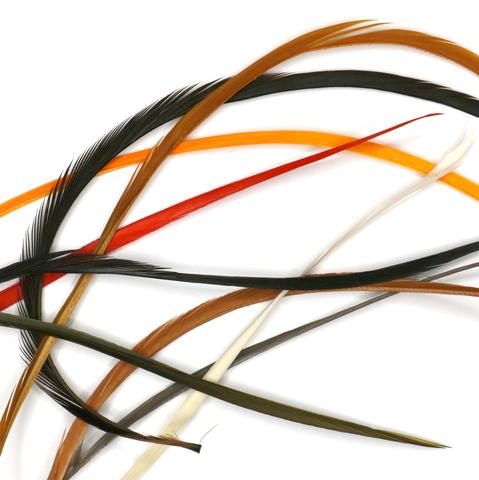 Hareline Stripped Goose Biots - Andere Federn und Plüme - 40450300042 - 1