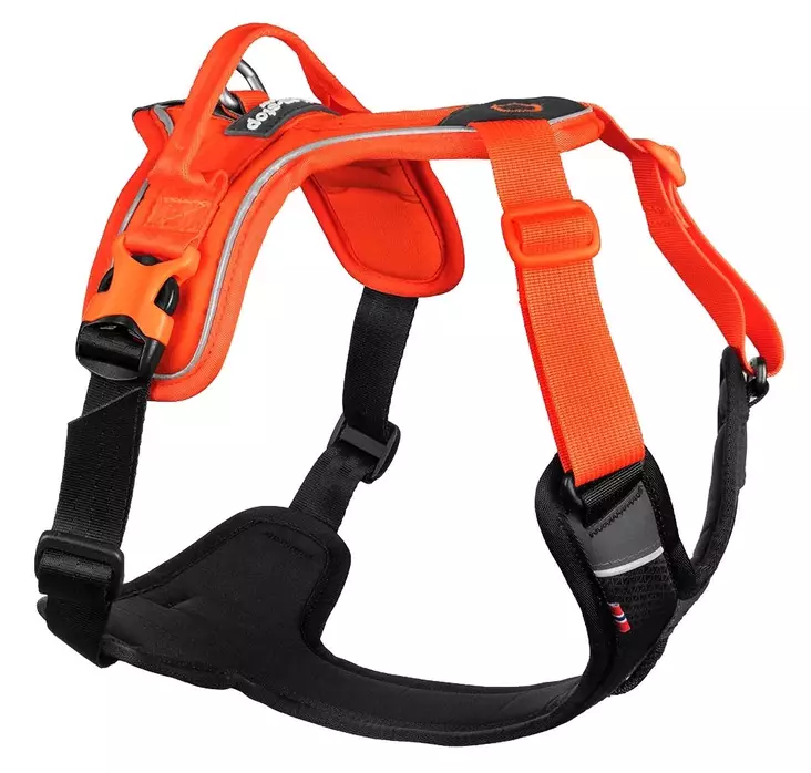 Non-stop Dogwear Ramble Harness Black/Orange - Hundegeschirr - 7071652018272 - 1