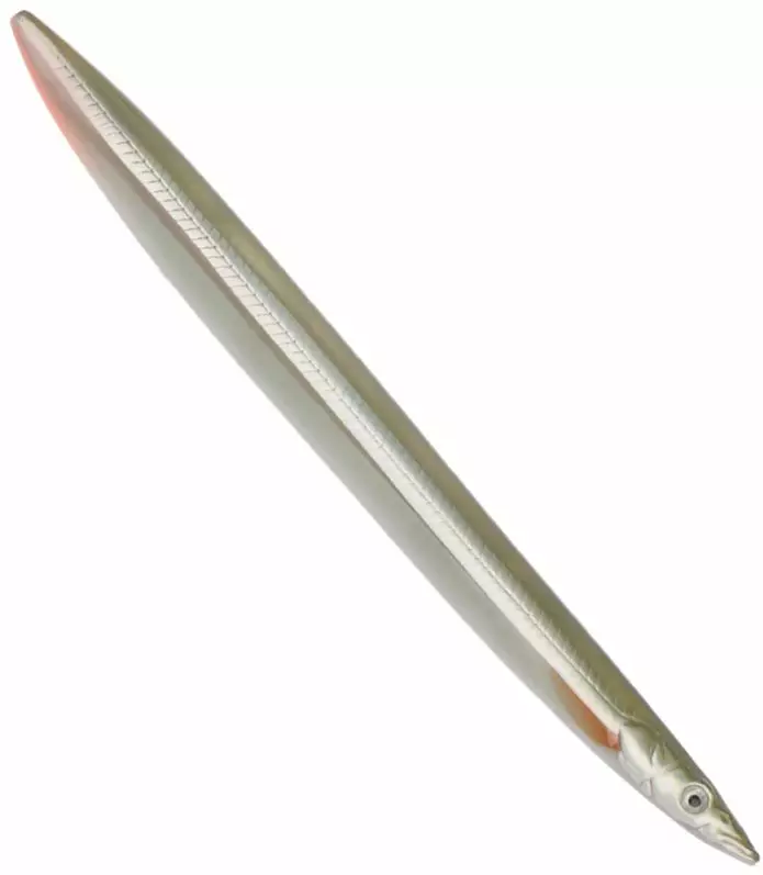 Savage Gear 3D Line Thru Sandeel 19g - Schlankes Profil - 1710010002 - 1