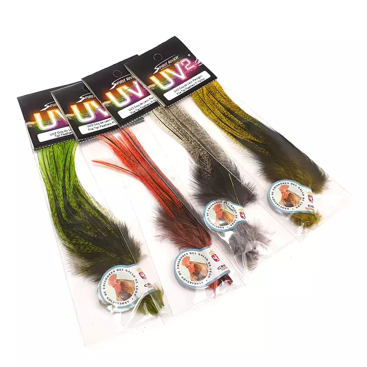 UV2 Coq De Leon Perdigon Fire Tail Feath - Andere Federn und Plüme - 40450200502 - 1