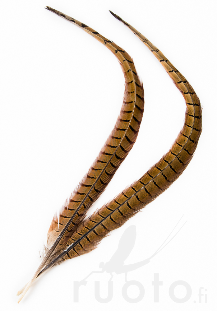 Veniard Cock Pheasant Centre Tails - Schwänze - 404503000022 - 1