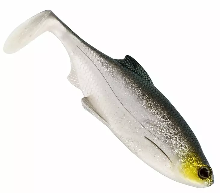 Westin Ricky The Roach 10cm 14g - Klassische Weichköder - 070120212 - 1