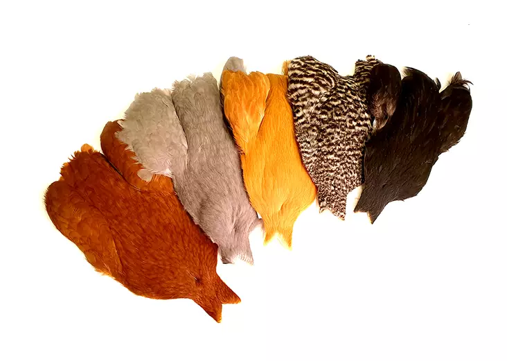 Whiting 4B's Hen Cape - Andere Hälse und Sattelfedern - 748012 - 1