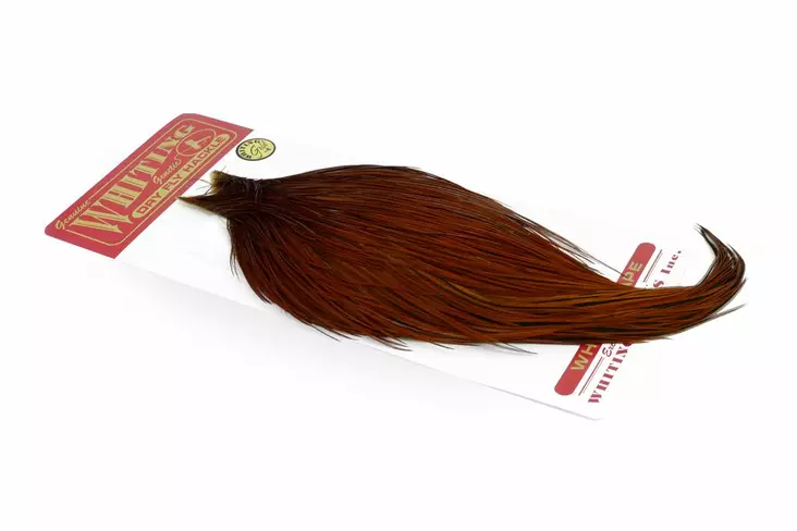 Whiting Dry Fly Cape Gold Grade - Trockenfliegenhälse und Sattelfedern - 403501000022 - 1
