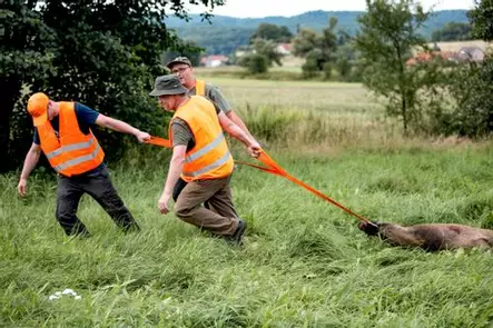 Eurohunt Threeway game recovery aid - Andere Jagdprodukte - 4250392311093 - 2