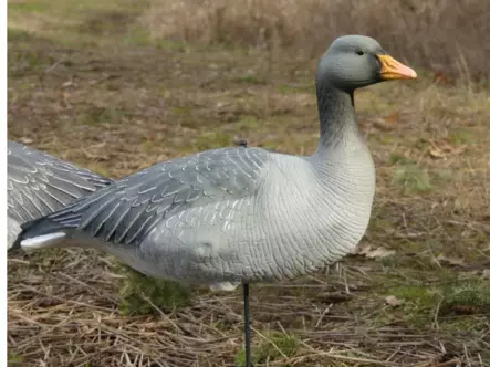 Final Approach Fullbody Evac Greylag - Lockvögel - B190700018903 - 1