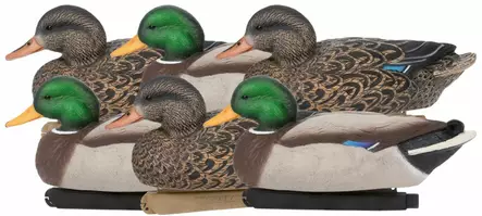 Zink Mallard Floater Decoys 6-pack - Lockvögel - 888151061183 - 1