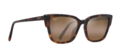 Maui Jim Kou - Tortoise Frame with HCL Bronze Lens - Glaslinsen - 603429070953 - 1