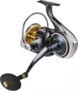 Daiwa 25 Saltiga - Große Salzwasser-Spinnrollen - 043178443903 - 3