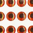 Grimman 3D Fish Eyes 6,5mm - 3D-Augen - 11808003 - 3