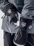 Hestra Army Leather Heli Ski Mitten - Handschuhe - 7332540615073 - 3