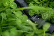 Leica Loom Eyepiece 25x - 50x WW ASPH. - Spektive - 4022243410213 - 3