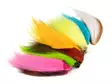 Wapsi Bucktail Assortment Fluorescent - Schwänze - 053526072983 - 1