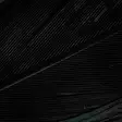 Wapsi Ringneck Tail Feathers - Schwänze - 404503000033 - 2