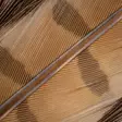 Wapsi Ringneck Tail Feathers - Schwänze - 404503000033 - 3