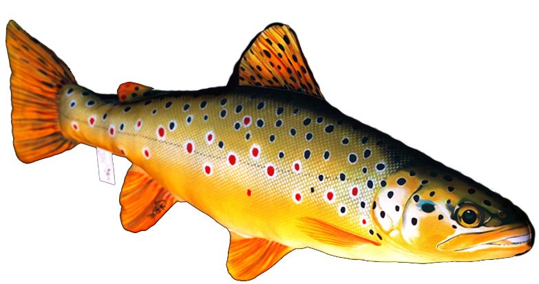 Gaby Taimen Pehmokala - Plüschfisch - 5905279175013 - 1